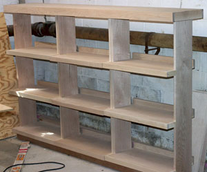 bookcase in basement